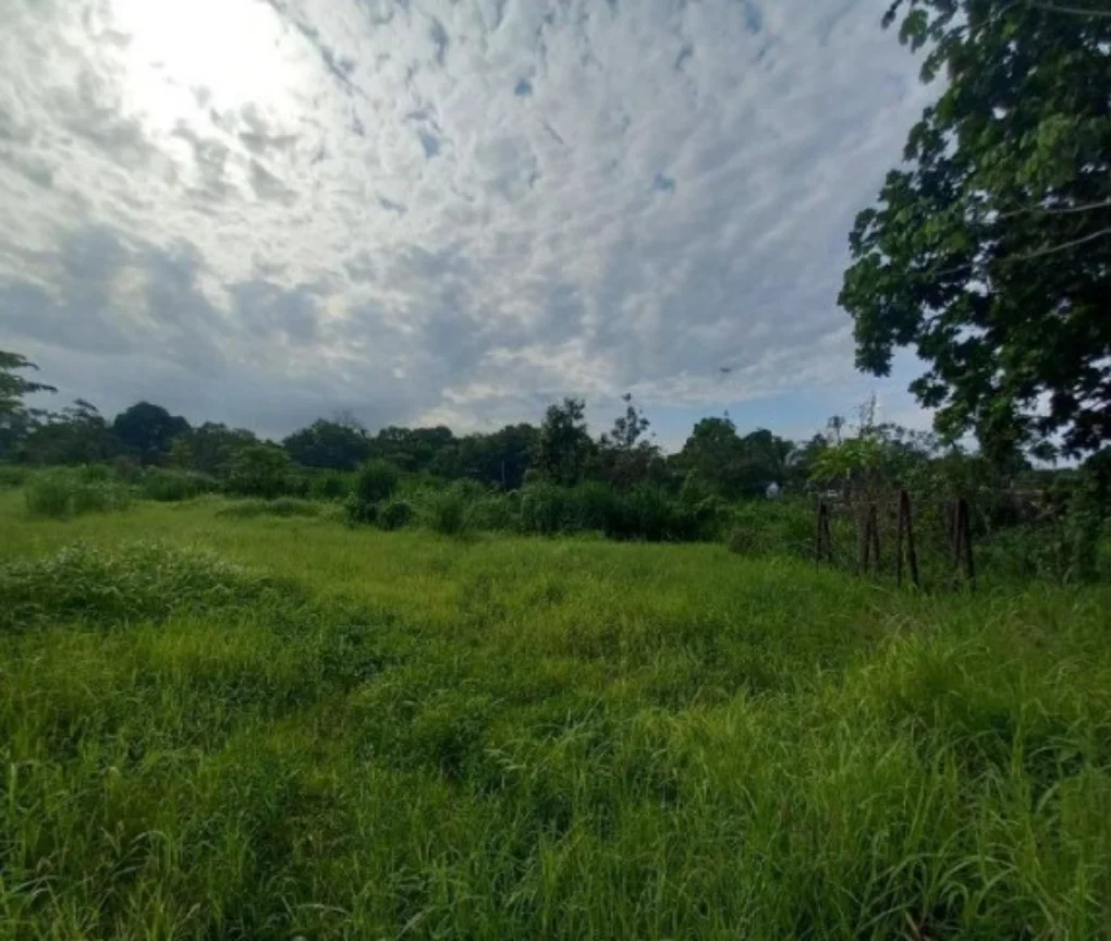 REMATE BANCARIO Terreno en Tocumen de 49505.359 m² en Ciudad de Panamá, Panamá