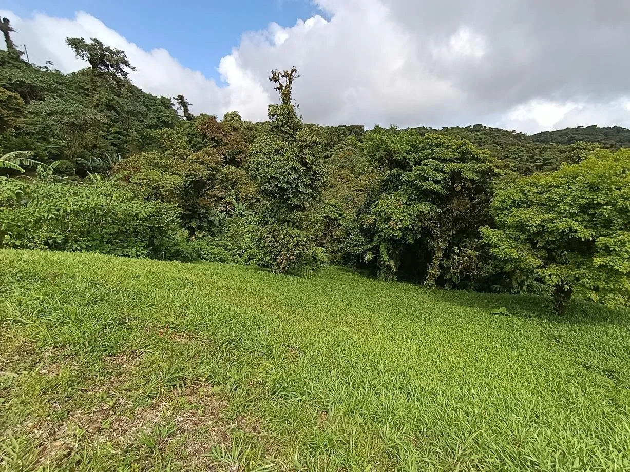 Terreno en Venta en Altos del María | 1,314 m² + Planos de Cabaña en Panamá Oeste, Panamá