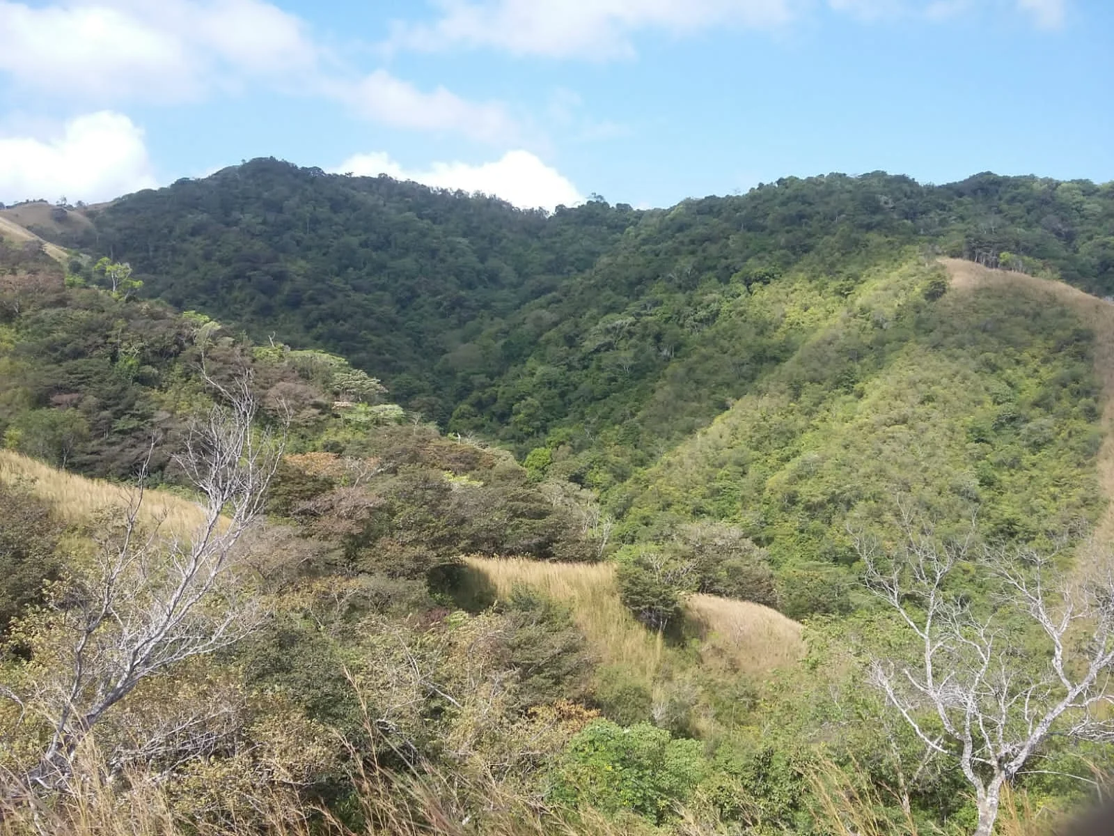 VENDO FINCA GANADERA EN TONOSI en Los Santos, Panamá