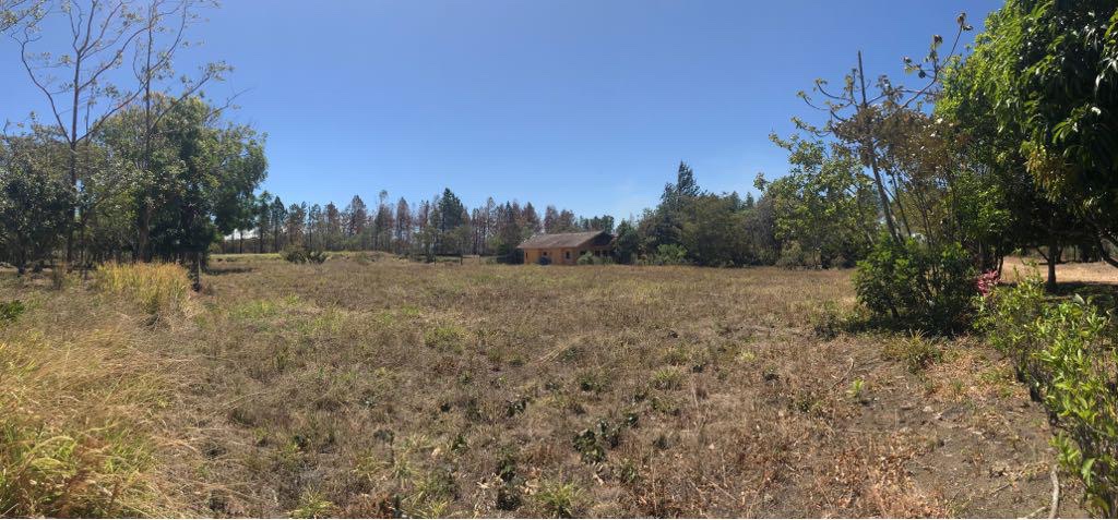 Residencial o Comercial: Terreno de 3642 m² en Boquete en Boquete, Panamá
