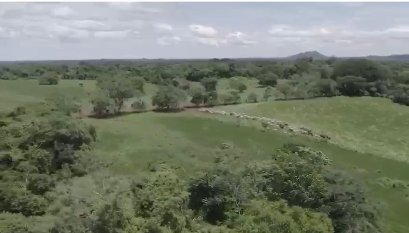 Se Vende Finca en Chiriquí en Chiriquí, Panamá