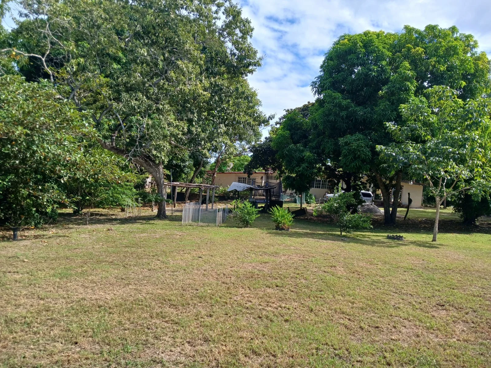 Se vende amplio terreno de 1300 m² en Las Uvas de San Carlos en San Carlos, Panamá