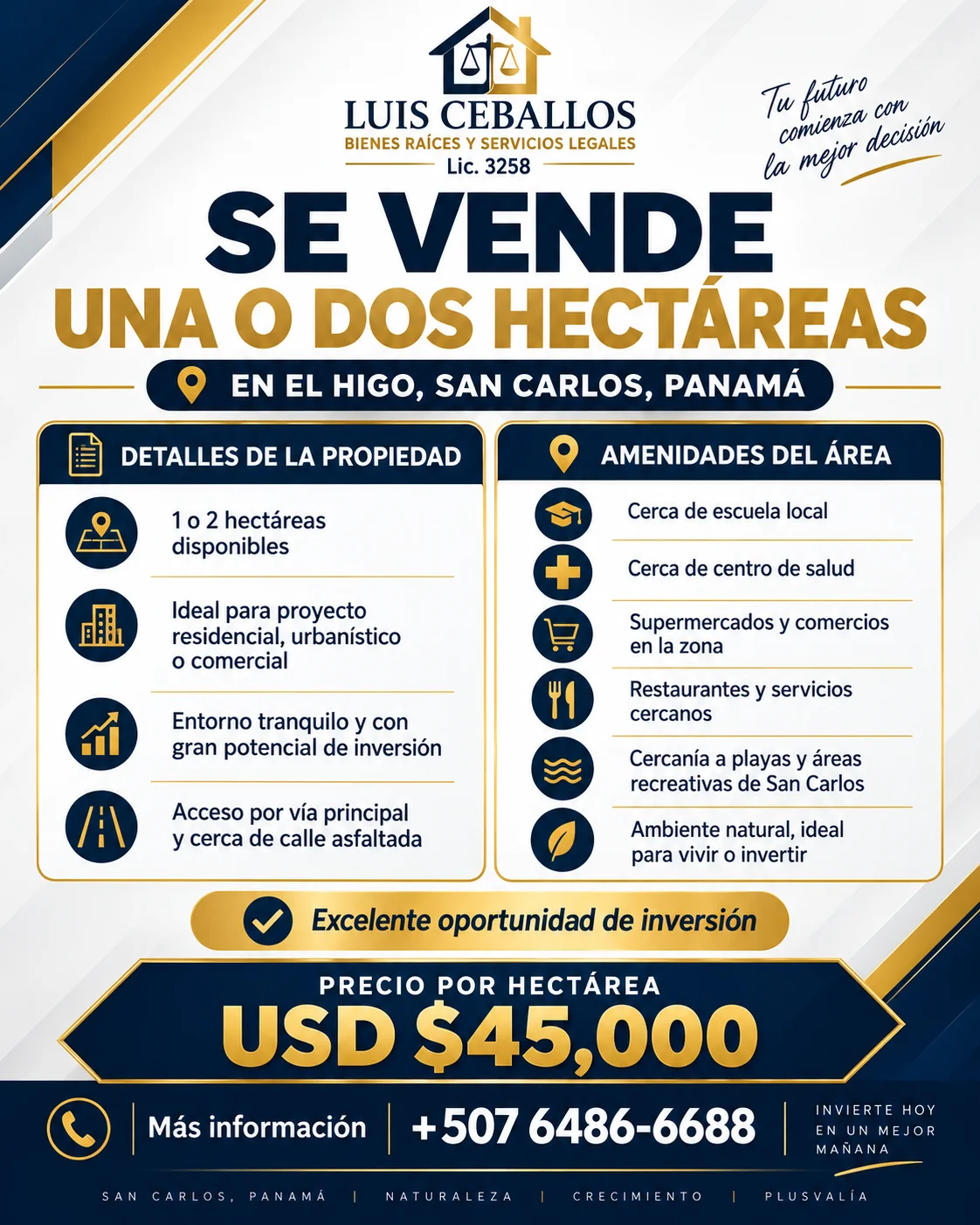 Terreno de 100000 m² en San Carlos en San Carlos, Panamá