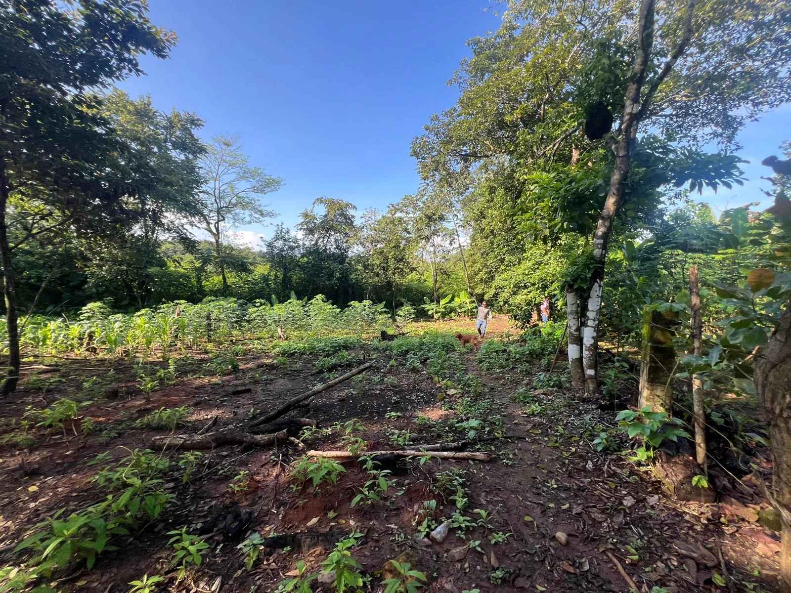 Venta de terreno de 153513 m² en Pacora, Panamá en Panamá, Panamá