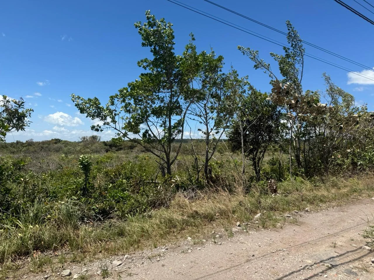 Se Vende Finca en Boquete 8 hectáreas en Boquete, Panamá